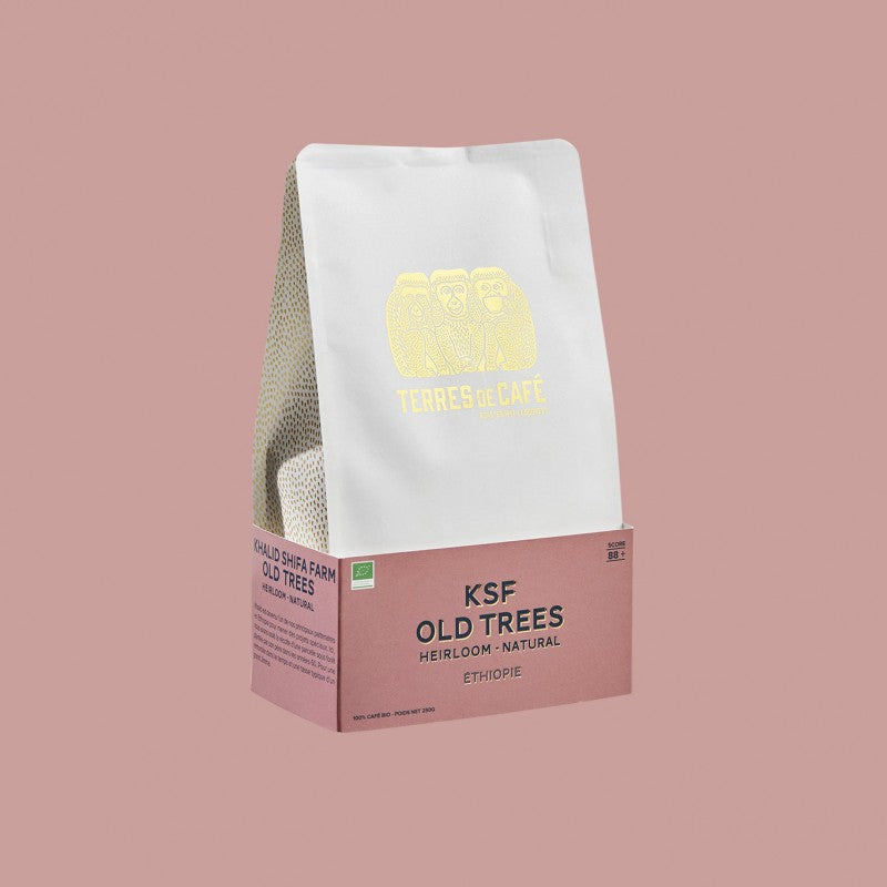 ETHIOPIE KSF OLD TREES BIO - 250 GR - café de spécialité