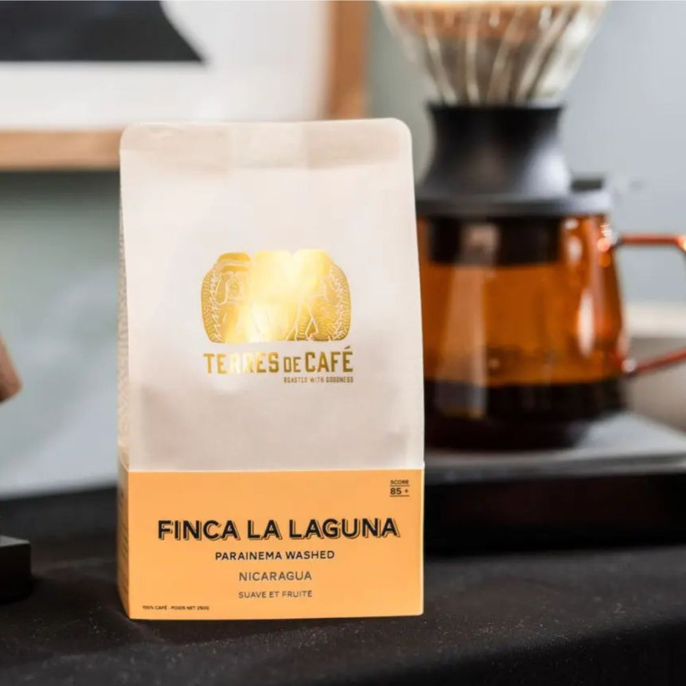 NICARAGUA FINCA LA LAGUNA PARAINEMA LAVE - 250GR