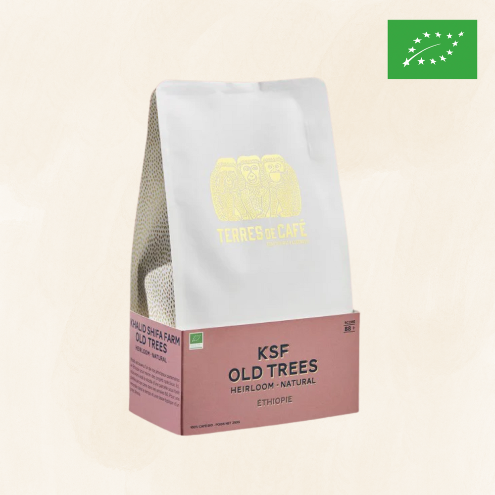 ETHIOPIE KSF OLD TREES BIO - 250 GR - café de spécialité