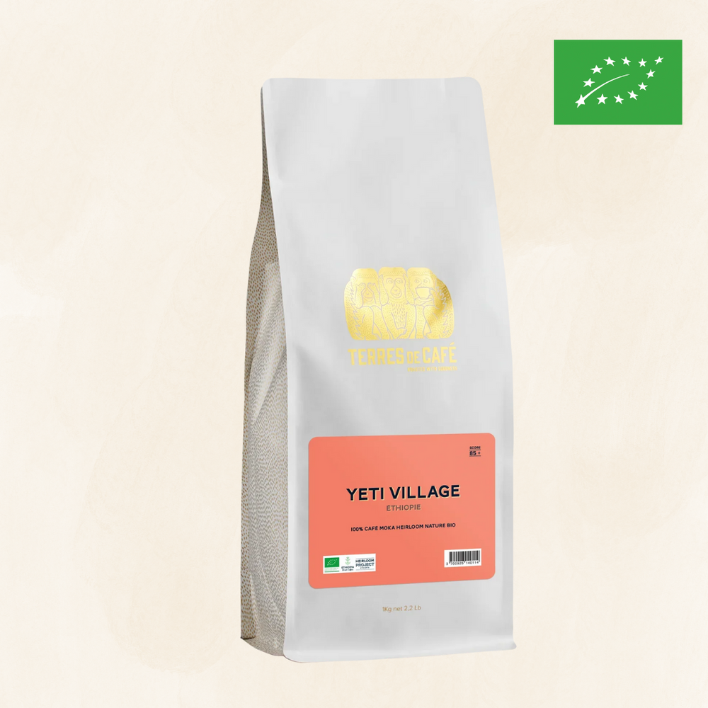 ETHIOPIE YETI VILLAGE MOKA BIO - KG - café de spécialité