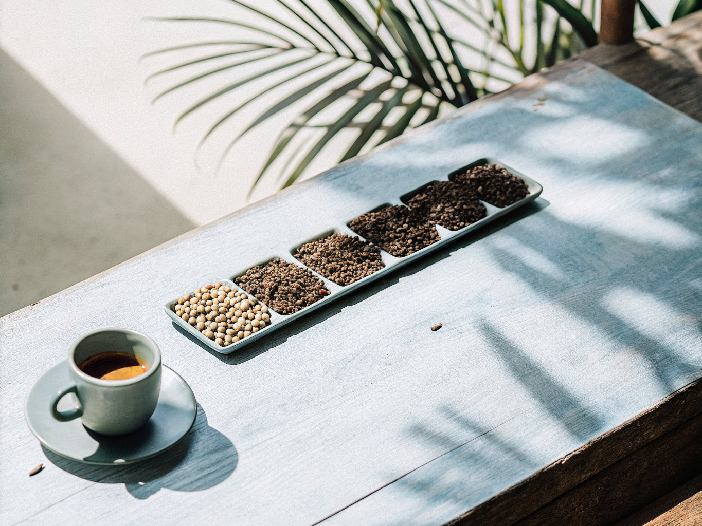 Meilleur cafe La Reunion - selection de grains de specialite