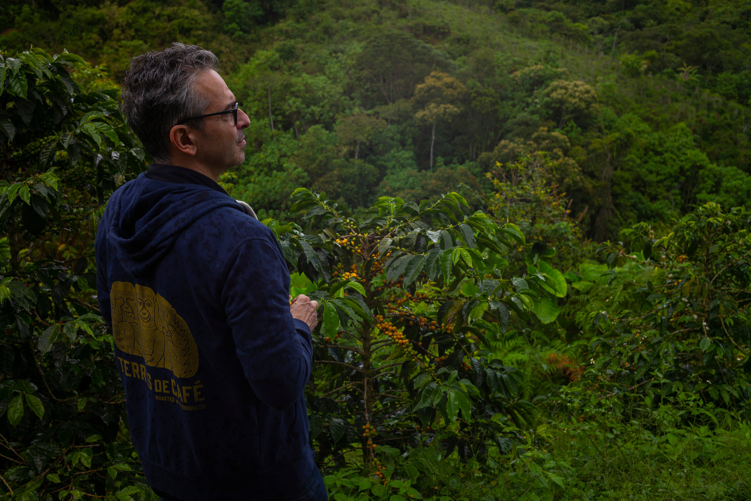 La Réunion et Terres de Café