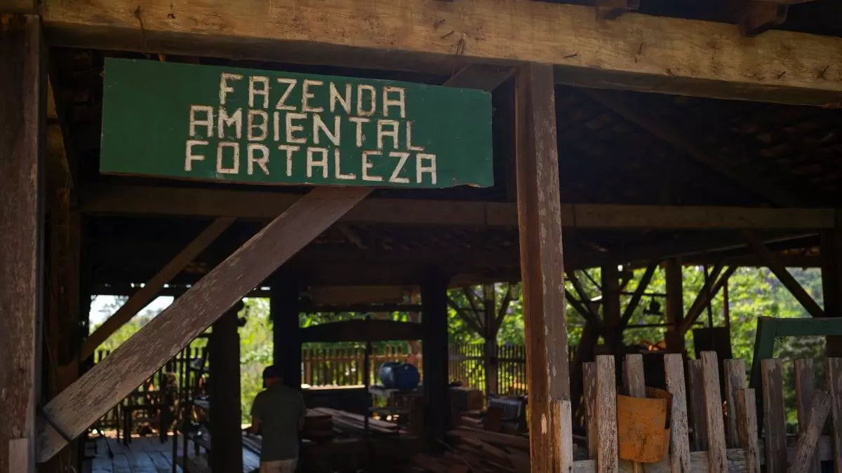 Carnet de Sourcing : Voyage au cœur de la Fazenda Ambiental Fortaleza au Brésil