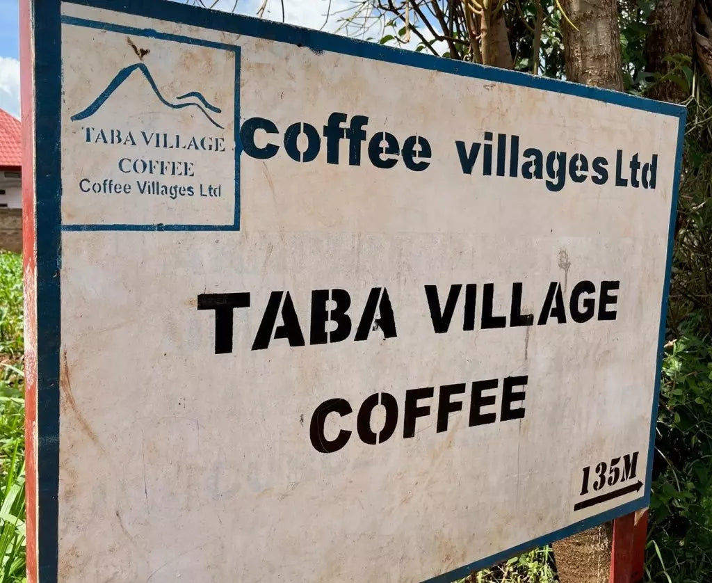 Rwanda "Taba Village", l'émergence d'un terroir