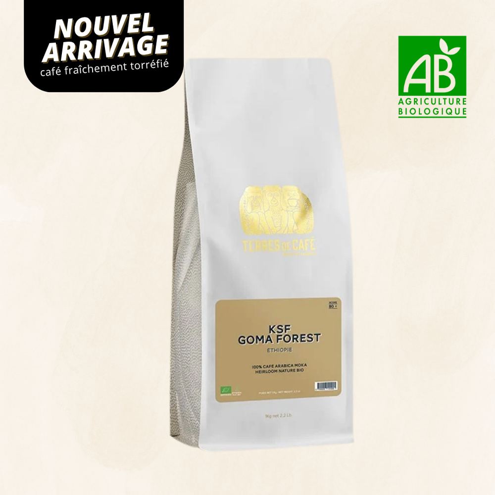 ETHIOPIE KSF GOMA FOREST BIO - 1KG