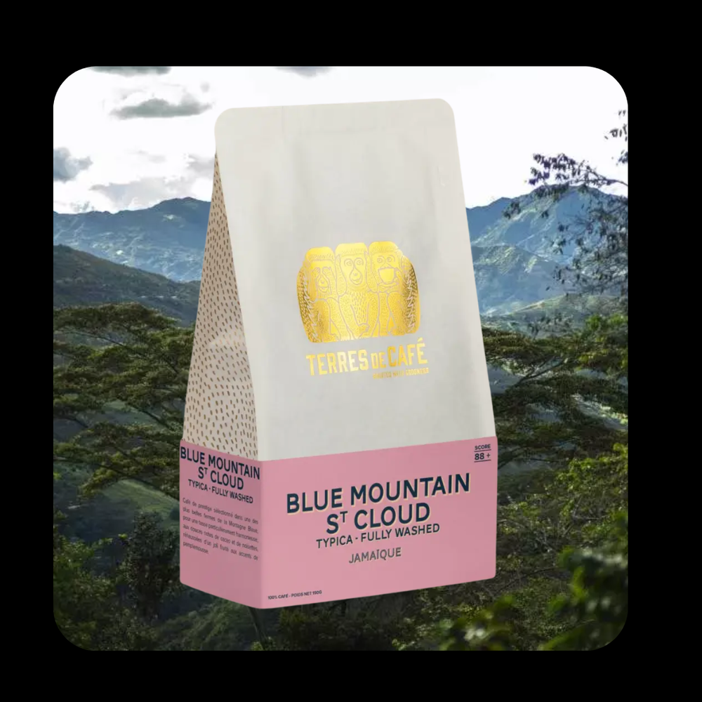 JAMAIQUE BLUE MOUNTAIN - 150 GR