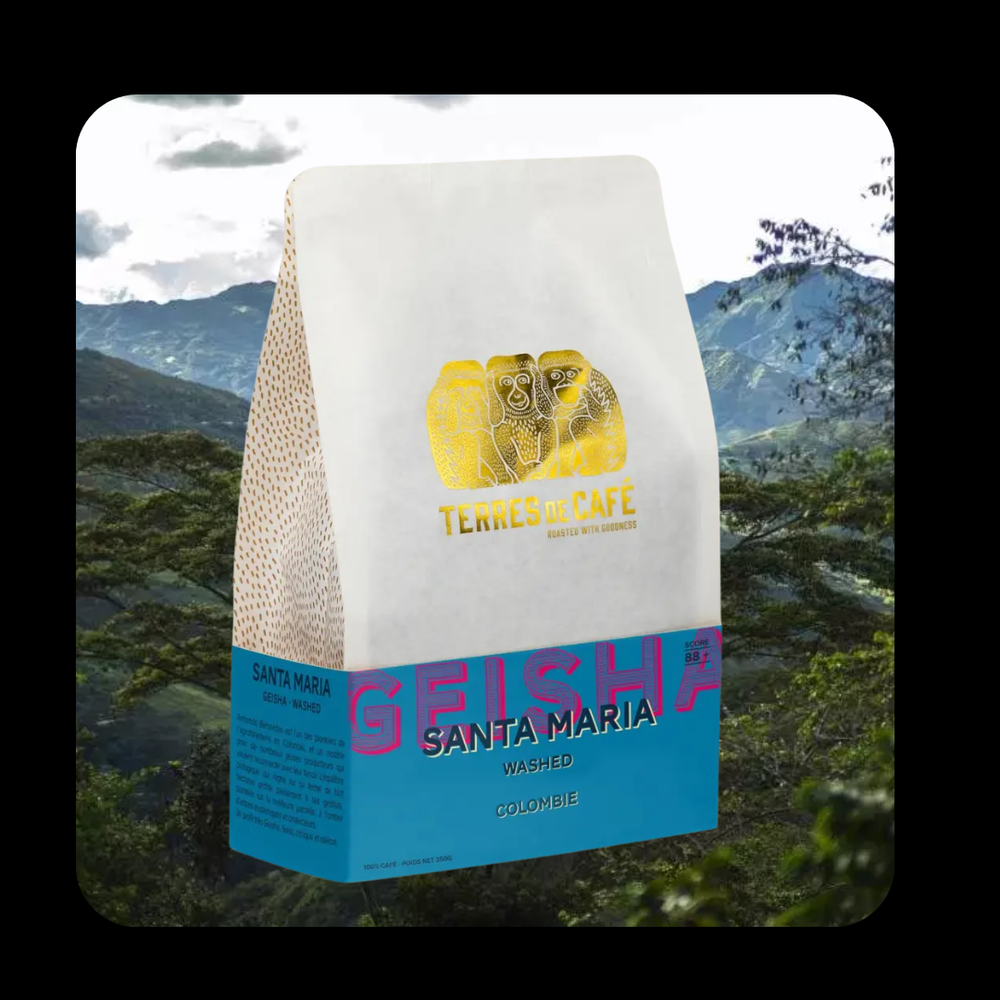 COLOMBIE SANTA MARIA GEISHA - 250GR