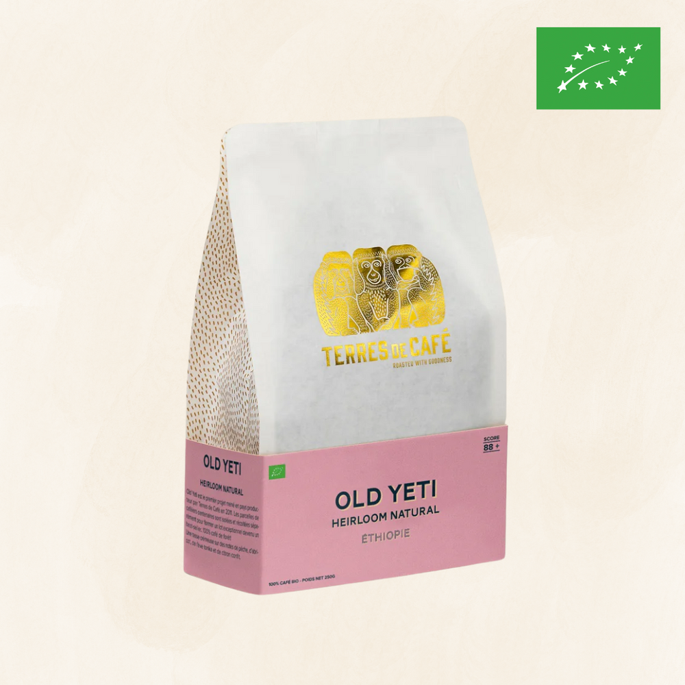 ETHIOPIE OLD YETI MOKA NATURE BIO - 250 GR