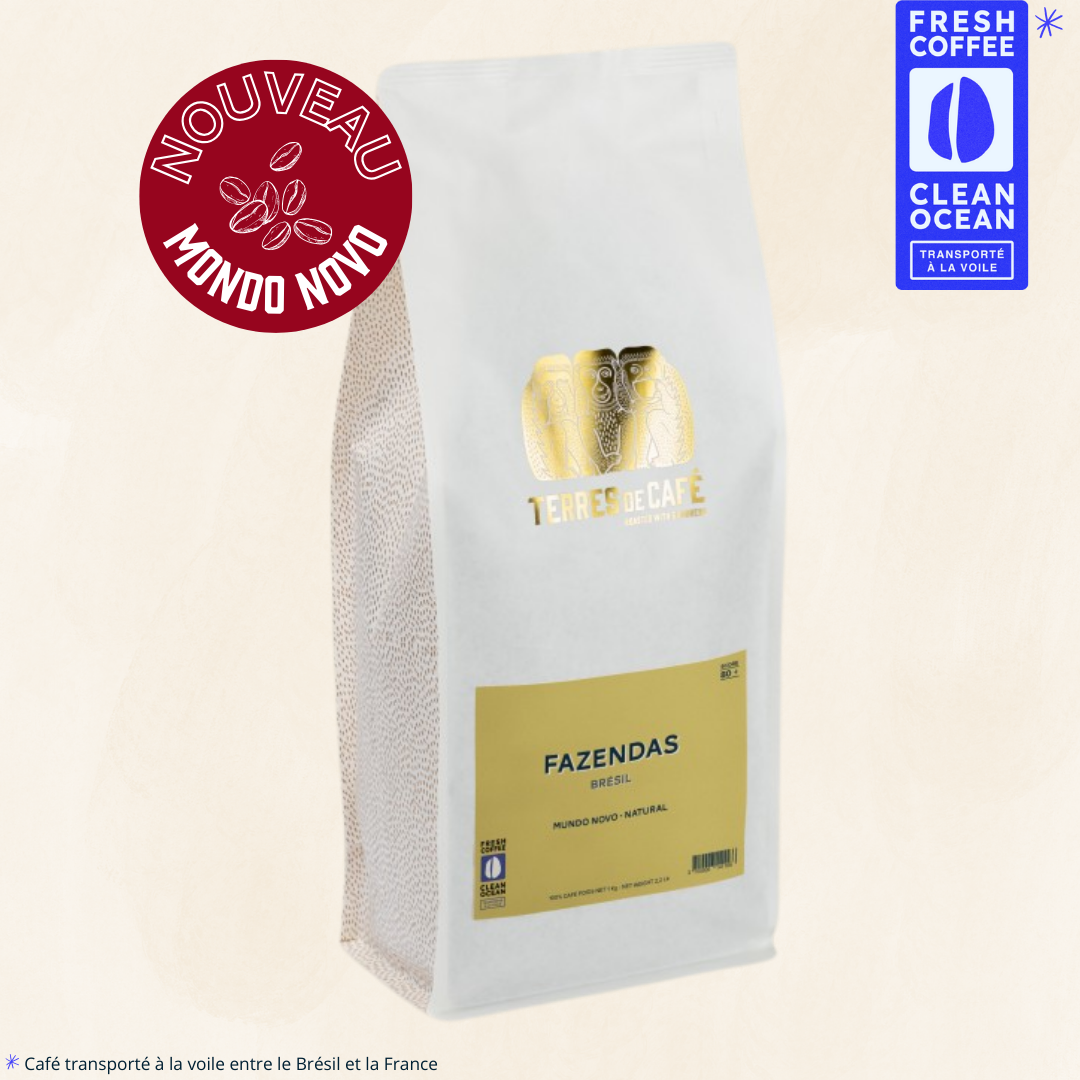 BRÉSIL FAZENDAS MUNDO NOVO BIO - KG