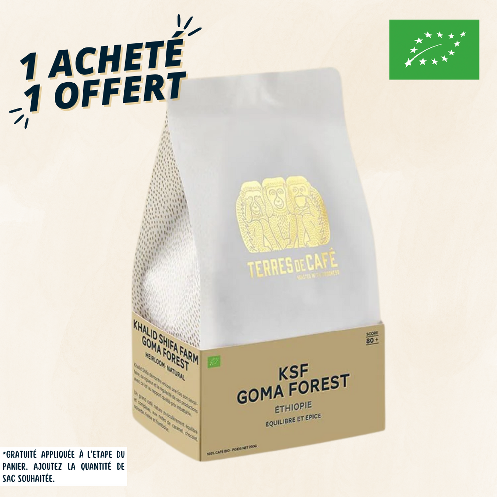 ETHIOPIE KSF GOMA FOREST - 250 GR