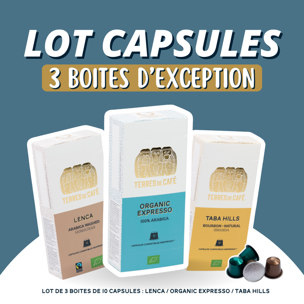 Lot de 3 boîtes de capsules de café bio – Terres de Café
