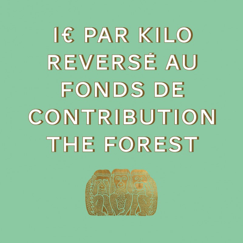 Café blend bio BLEND THE FOREST BIO 1 kg détail torréfaction