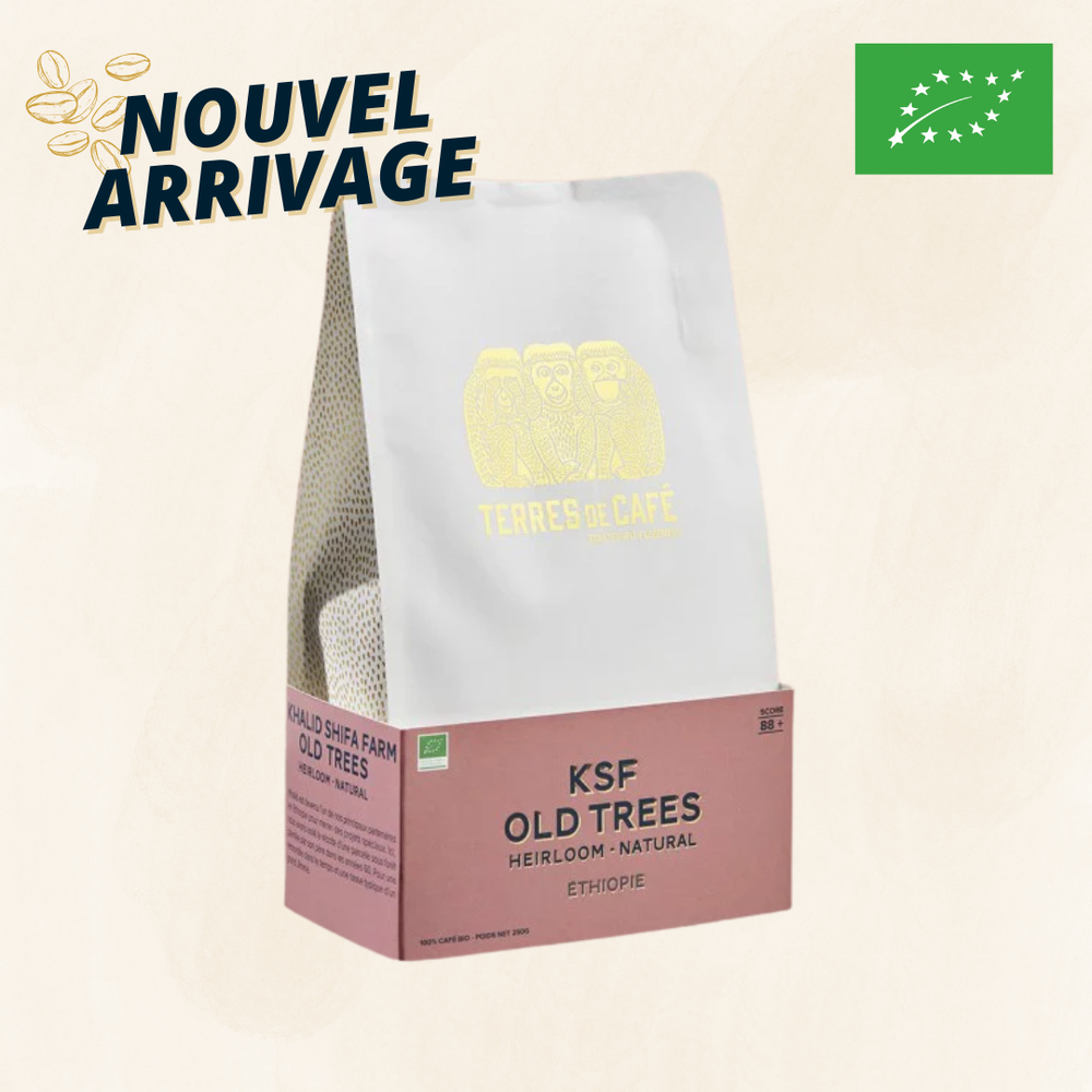 ETHIOPIE KSF OLD TREES BIO - 250 GR
