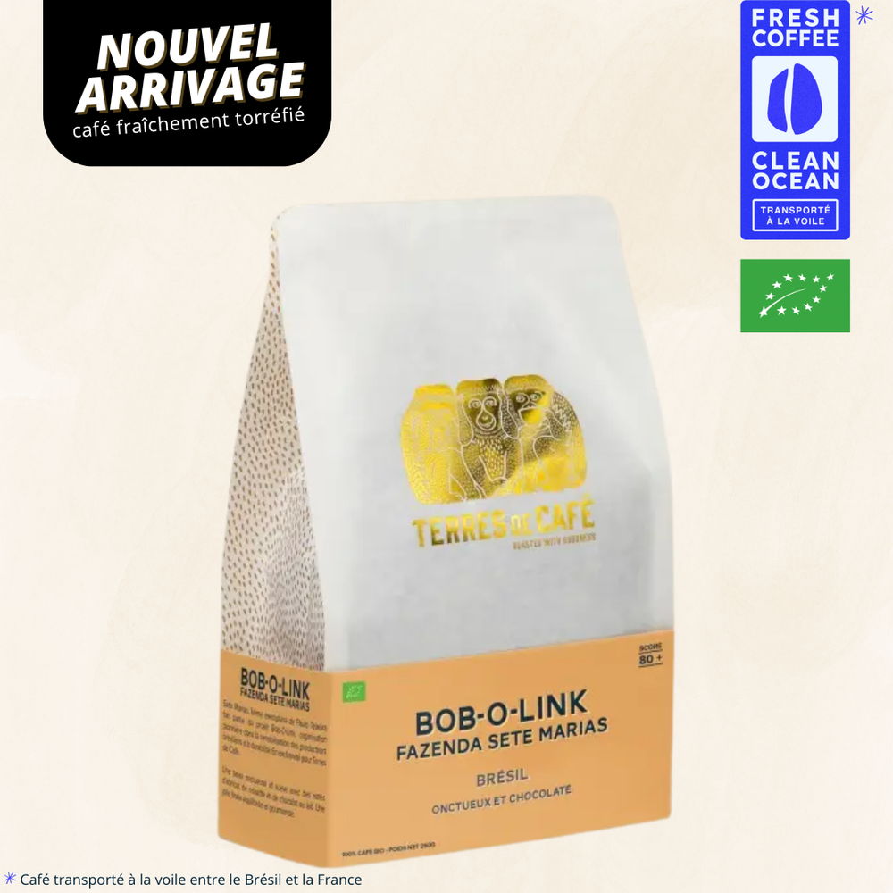 BRÉSIL BOB-O-LINK - BOURBON JAUNE NATURE BIO - 250 GR