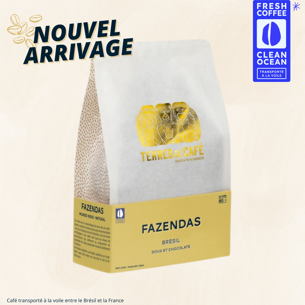 BRÉSIL FAZENDAS MONDO NOVO BIO - 250GR