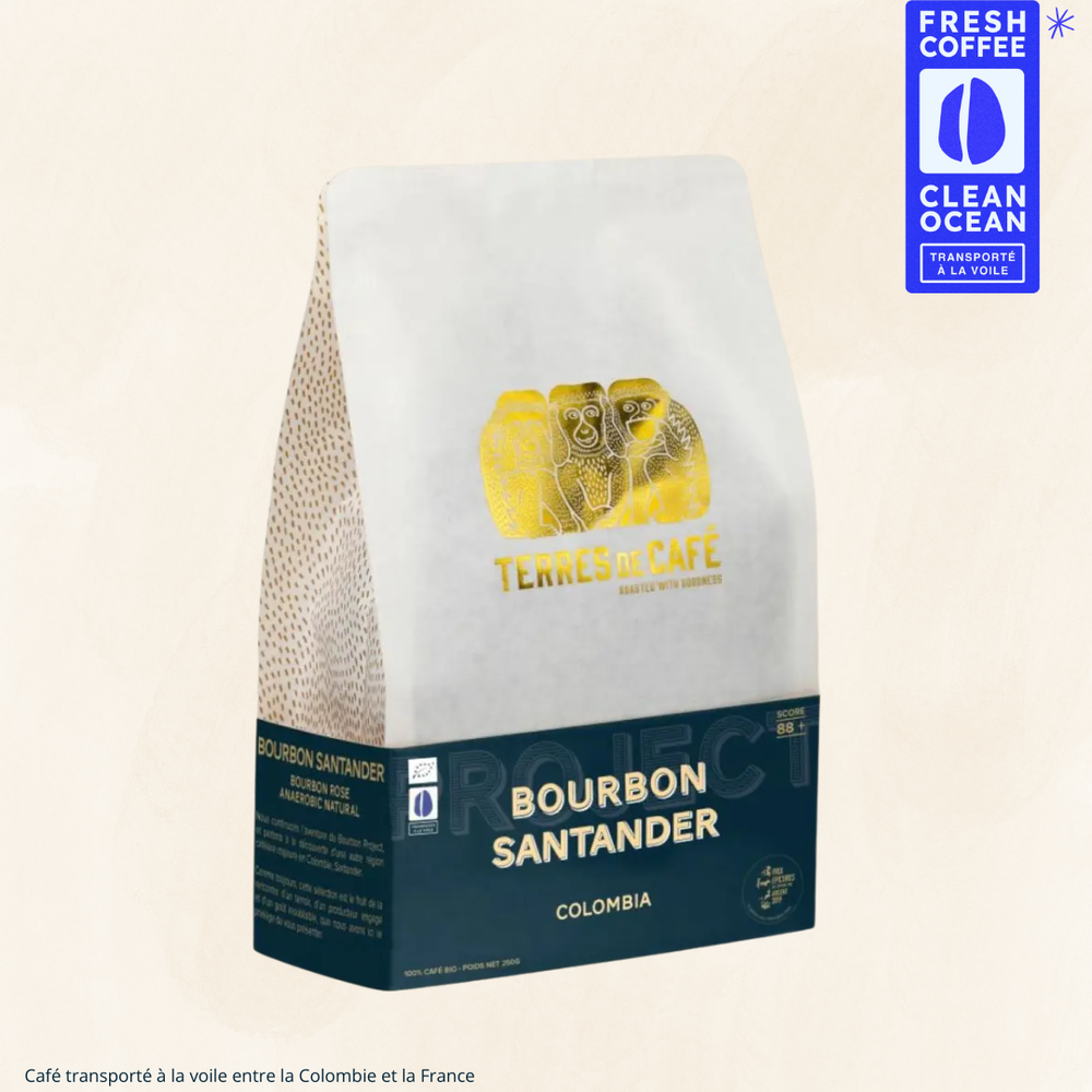 COLOMBIE BOURBON PROJECT SANTANDER BIO - 250GR