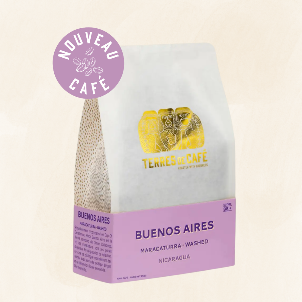NICARAGUA BUENO AIRES MARACATURRA WASHED - 250GR