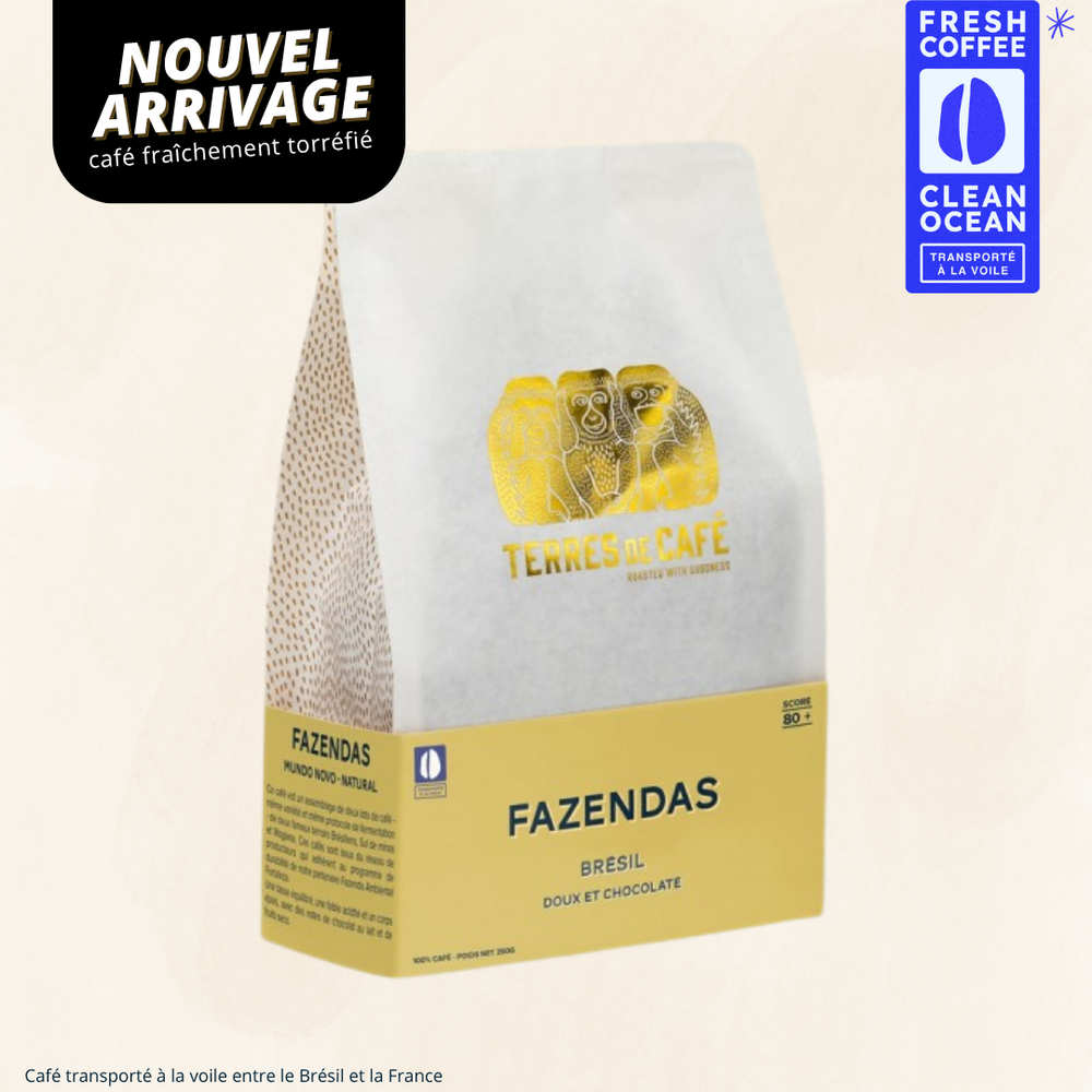 BRÉSIL FAZENDAS MONDO NOVO - 250GR