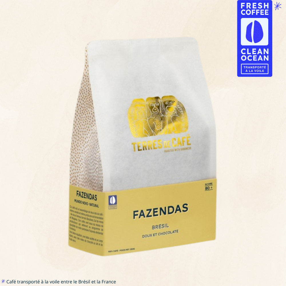 Café bio BRÉSIL FAZENDAS MONDO NOVO BIO 250 g détail torréfaction