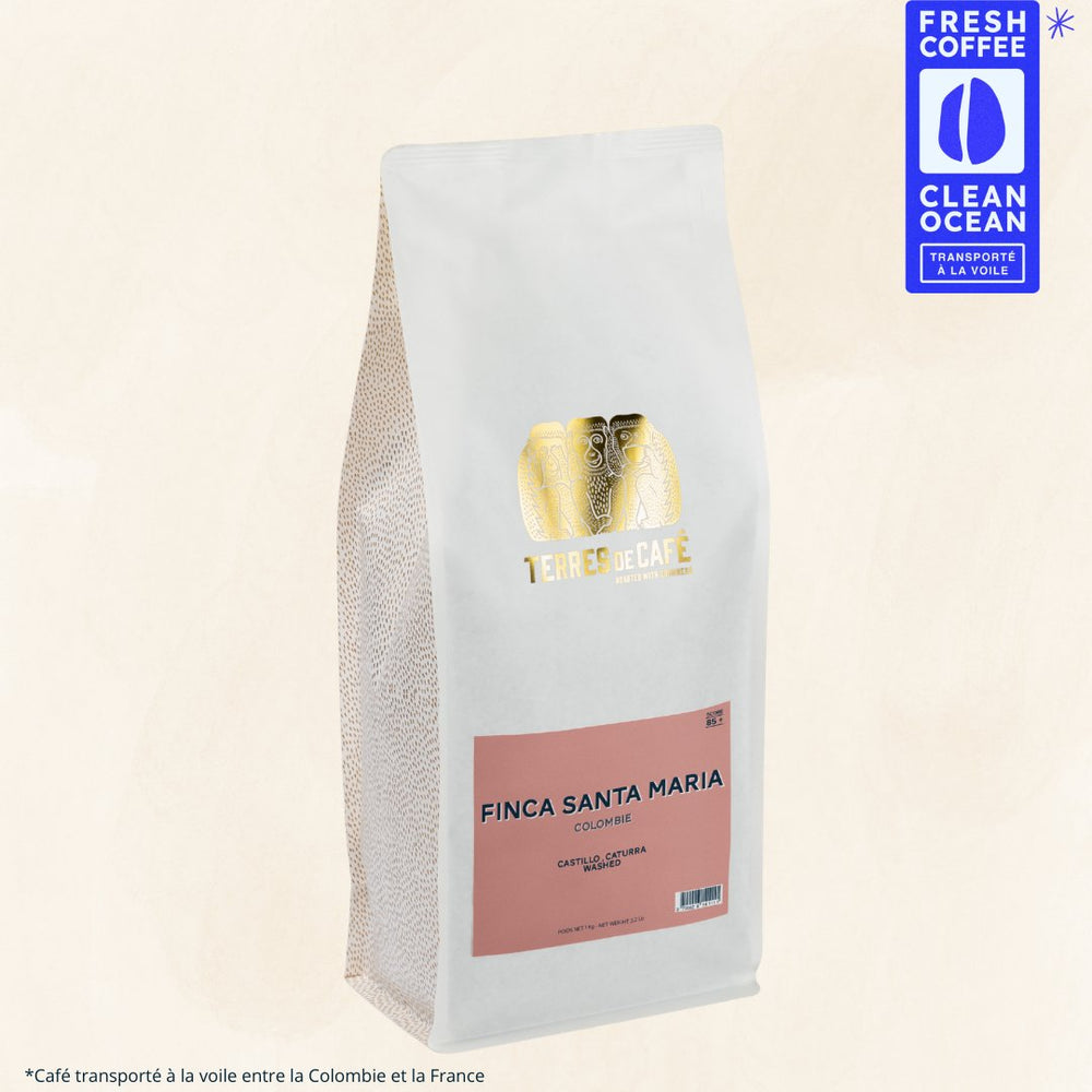 COLOMBIA SANTA MARIA CATURRA - 1KG – café Terres de Café Réunion