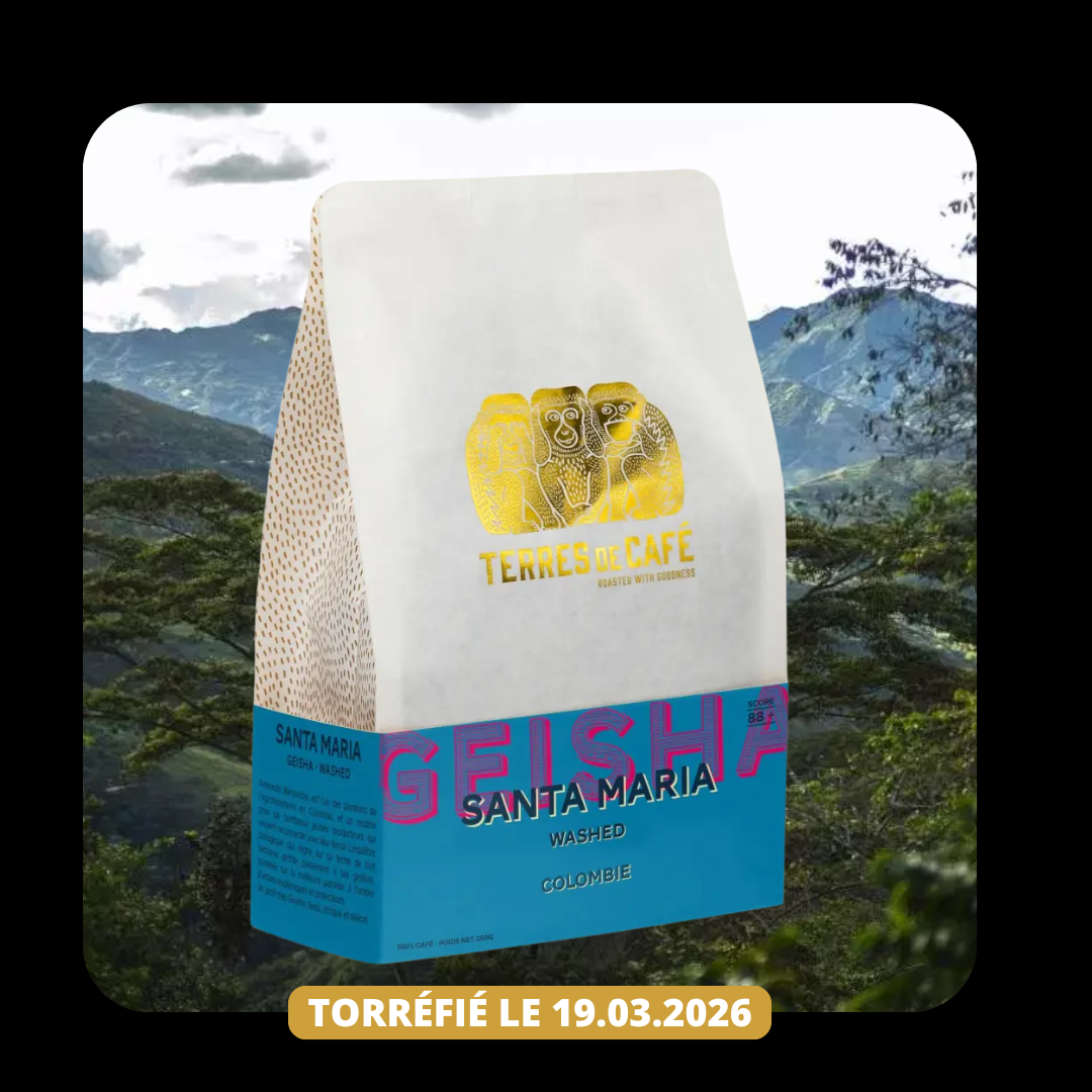 Colombie Santa Maria Geisha Washed 250g - Café de spécialité arabica lavé - Terres de Café 974