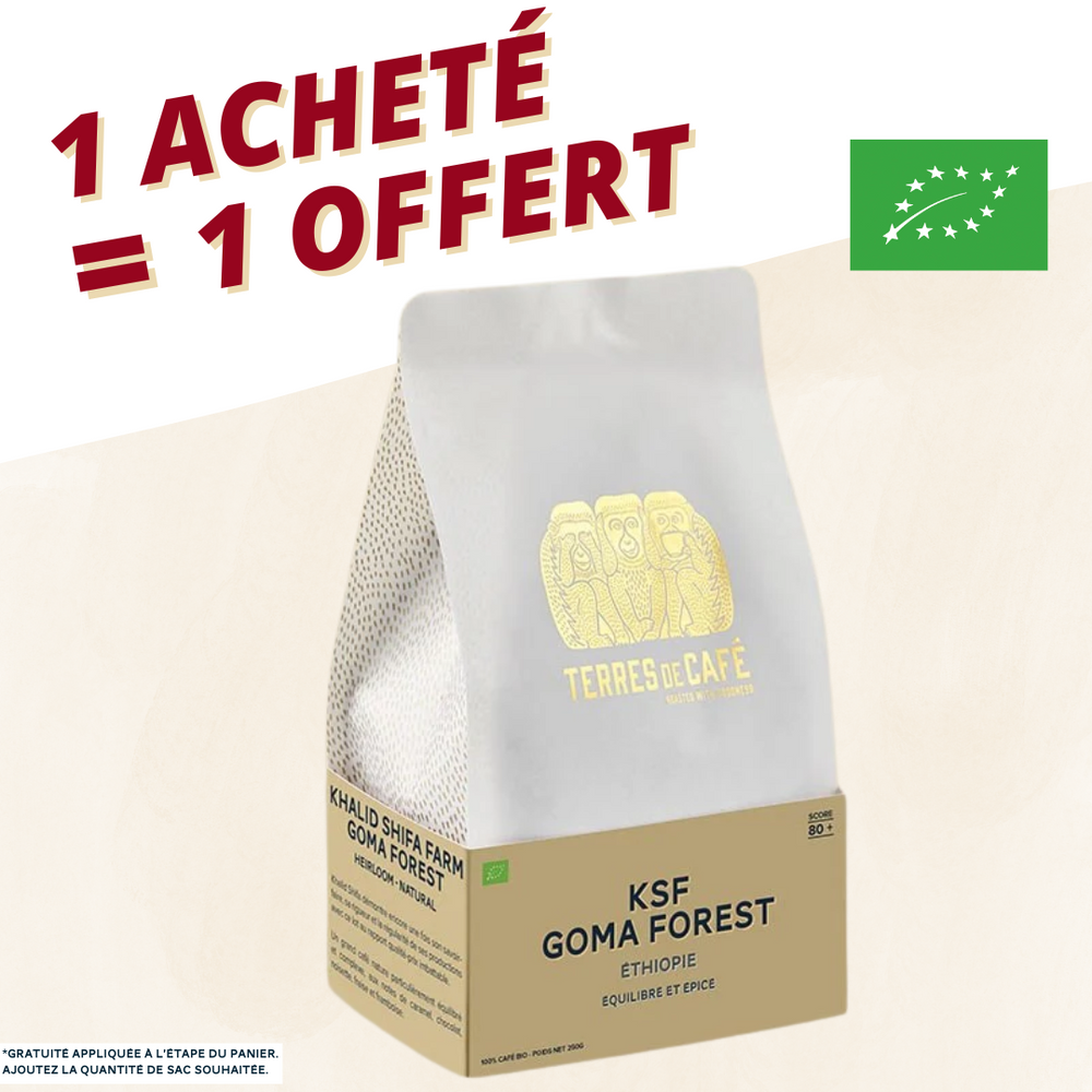 ETHIOPIE KSF GOMA FOREST - 250 GR