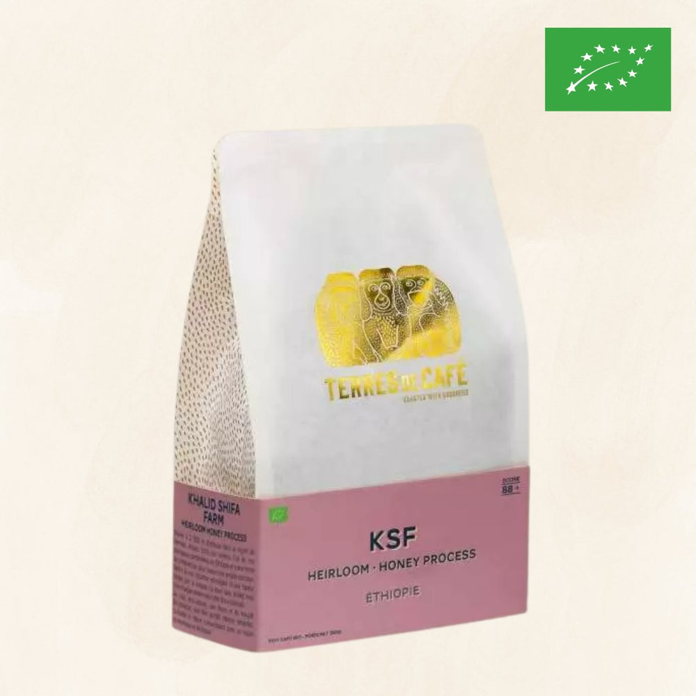 ETHIOPIE KSF HONEY BIO - 250 GR – café Terres de Café Réunion