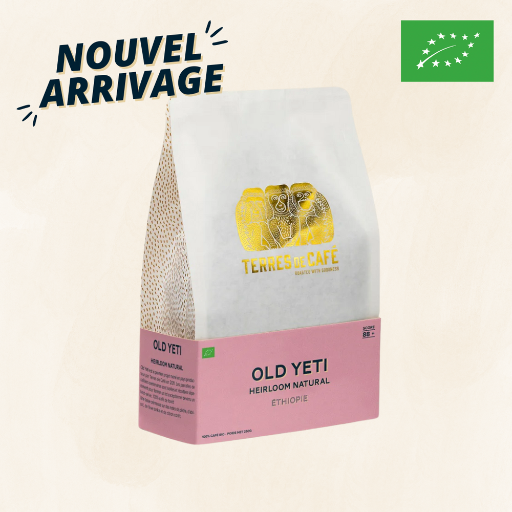 ETHIOPIE OLD YETI MOKA NATURE BIO - 250 GR