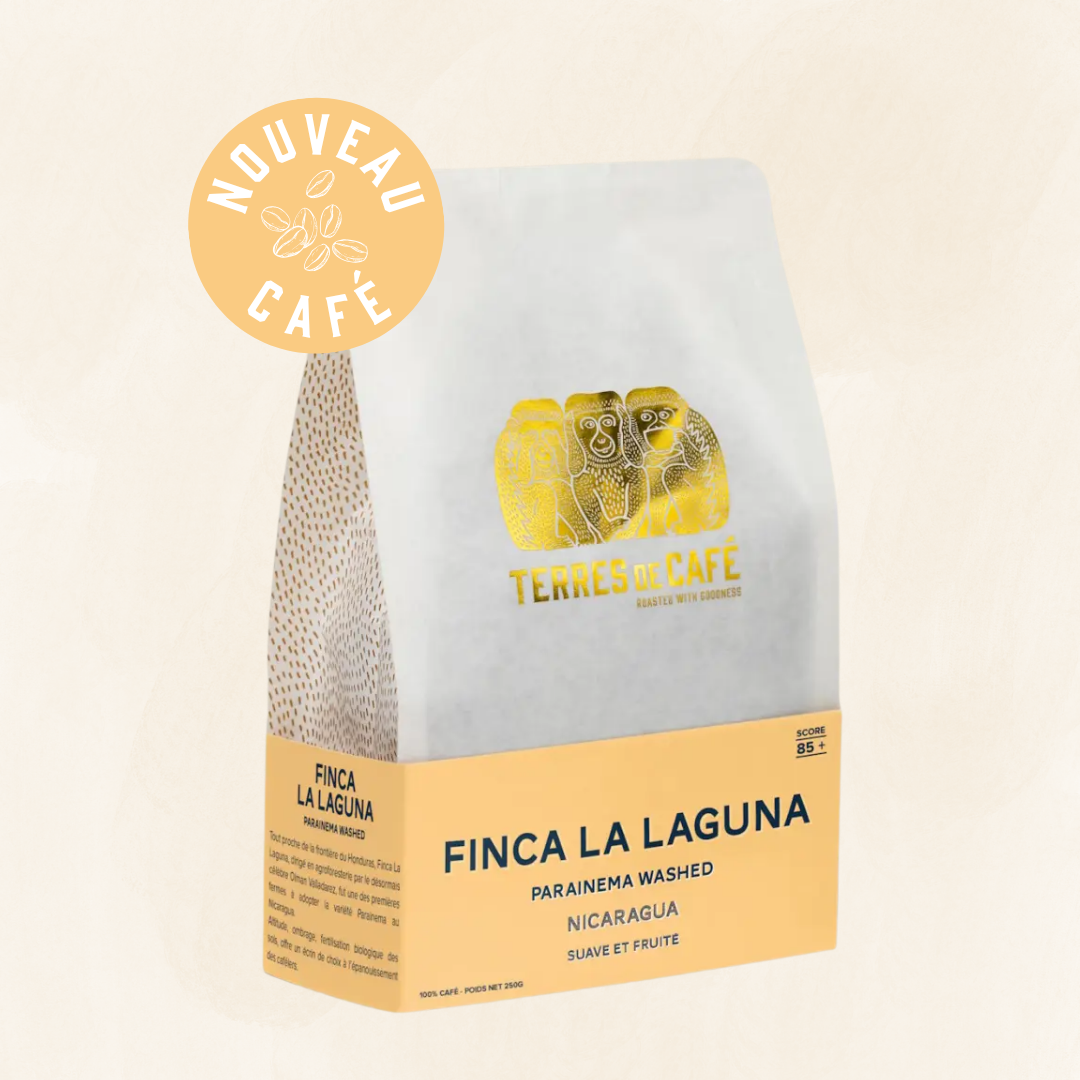 NICARAGUA FINCA LA LAGUNA PARAINEMA LAVE - 250GR