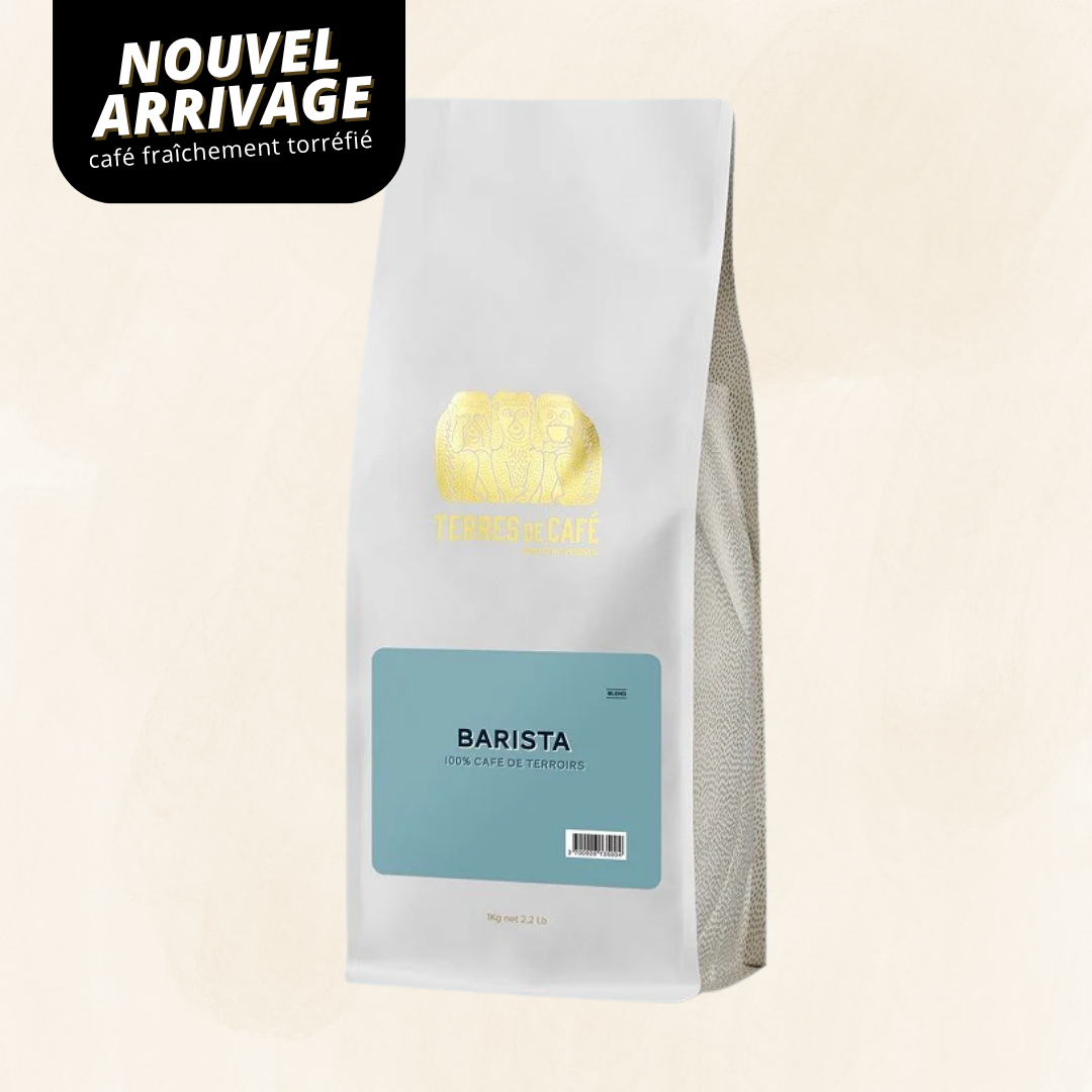 MELANGE BARISTA KG