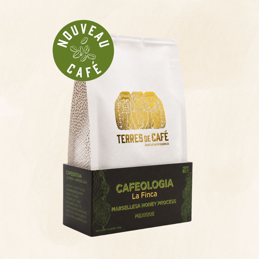 MEXIQUE CAFEOLOGIA LA FINCA MARSELLESA - 250GR