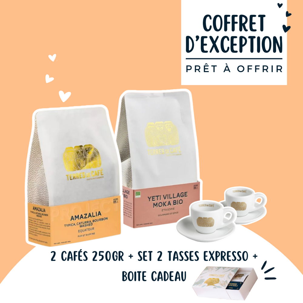 Coffret - Lot 2 cafés 250gr + set 2 tasses expresso (85/88+)