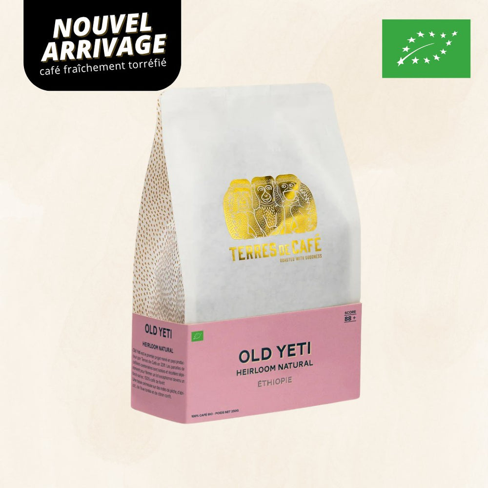 ETHIOPIE OLD YETI MOKA NATURE BIO - 250 GR – café Terres de Café Réunion
