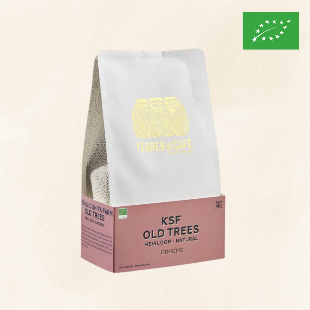 ETHIOPIE KSF OLD TREES BIO - 250 GR