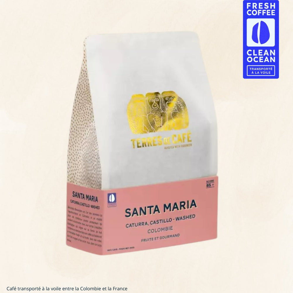 COLOMBIE SANTA MARIA CATURRA - 250GR – café Terres de Café Réunion