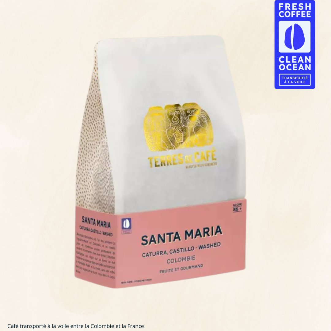 COLOMBIE SANTA MARIA CATURRA - 250GR – café Terres de Café Réunion