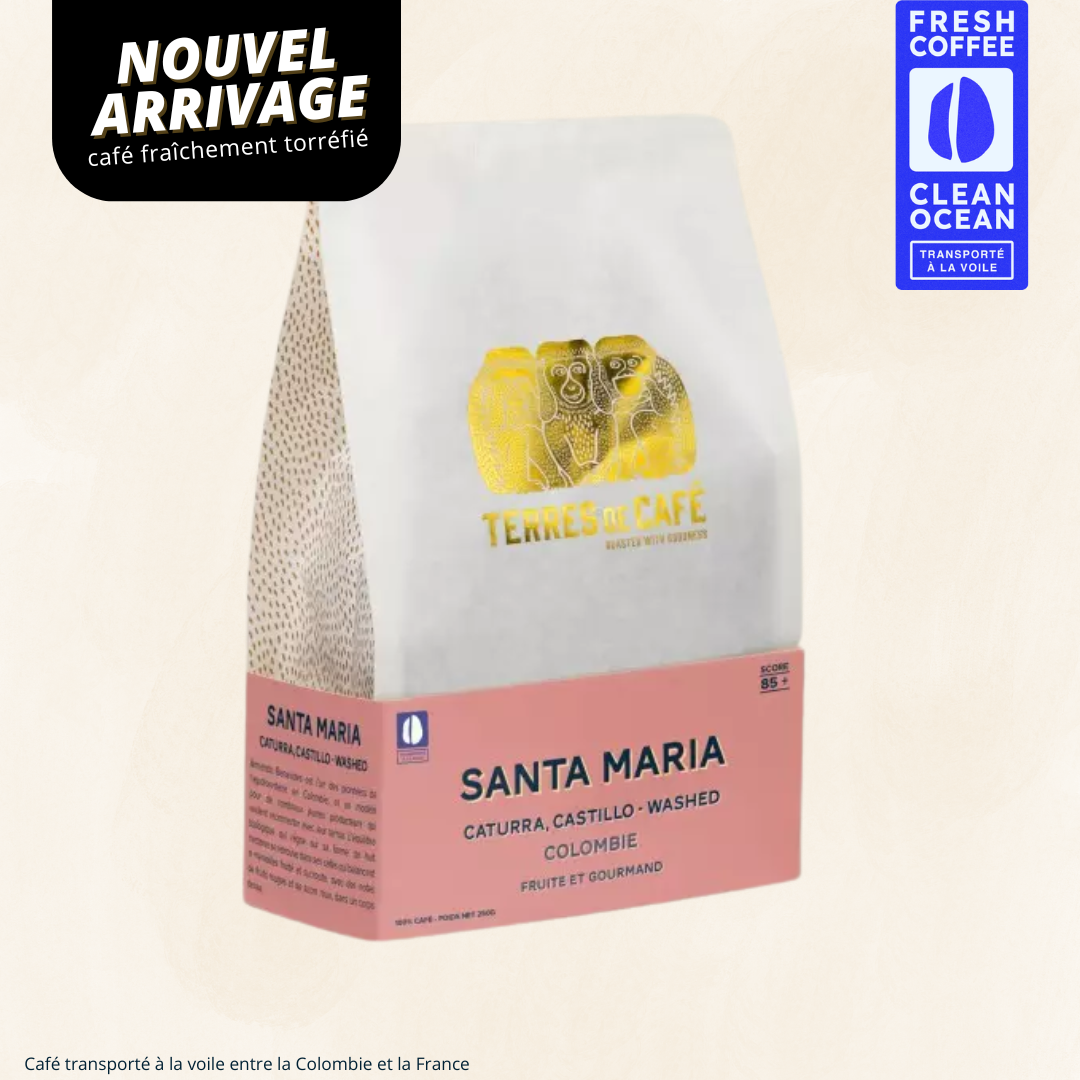 COLOMBIE SANTA MARIA CATURRA  - 250GR