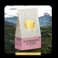Jamaïque Blue Mountain Typica Washed 150g - Café de spécialité arabica IG - Terres de Café 974