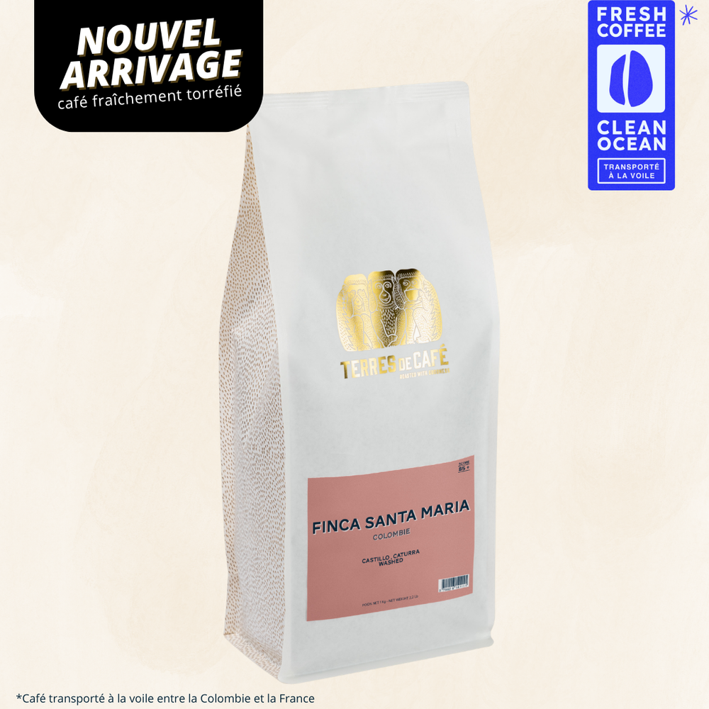 COLOMBIA SANTA MARIA CATURRA - 1KG
