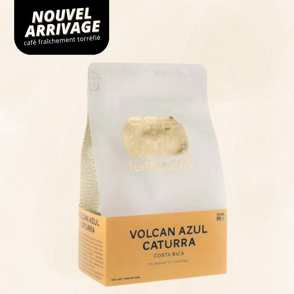 COSTA RICA VOLCAN AZUL CATURRA - 250 GR