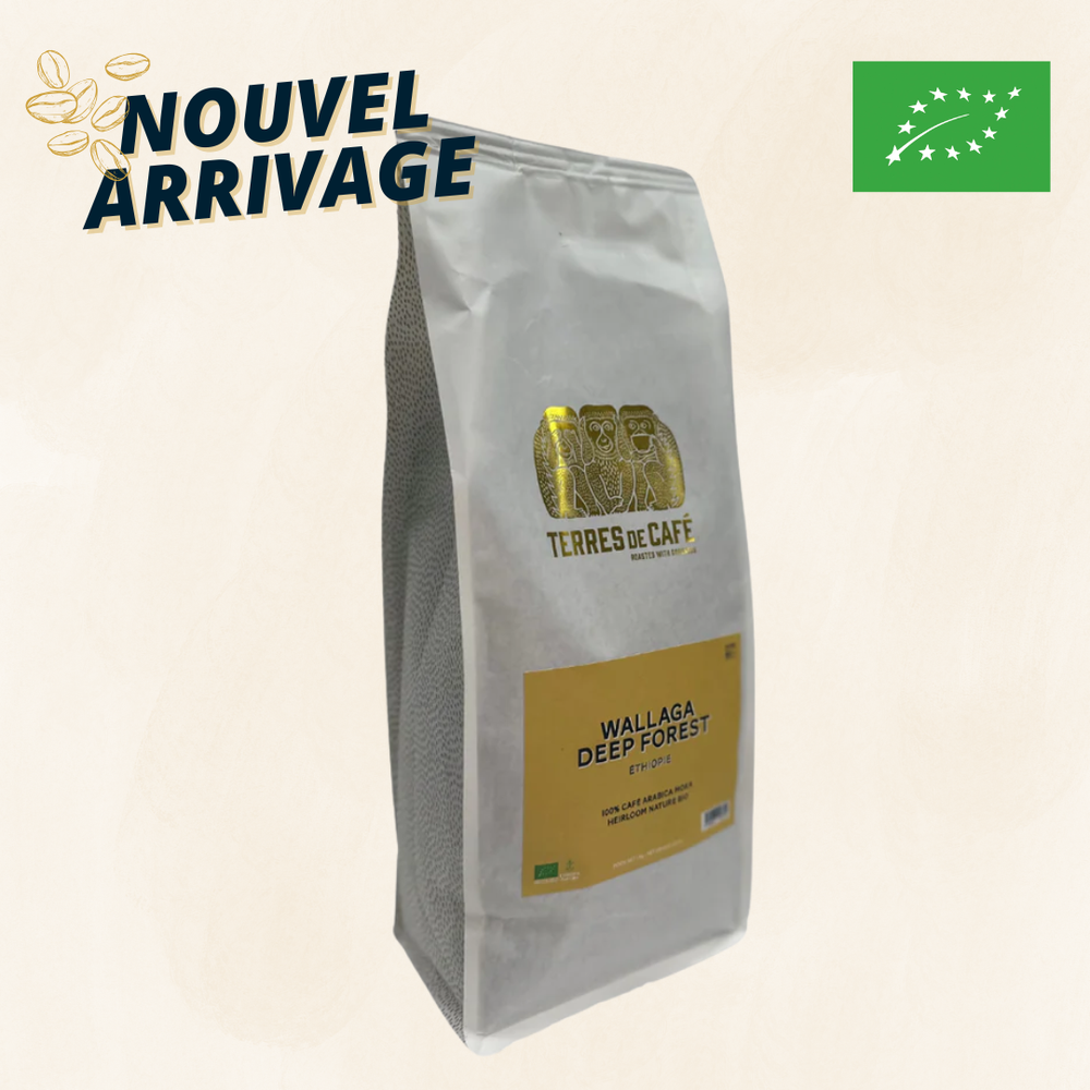ETHIOPIE WALLAGA DEEP FOREST BIO- 1KG