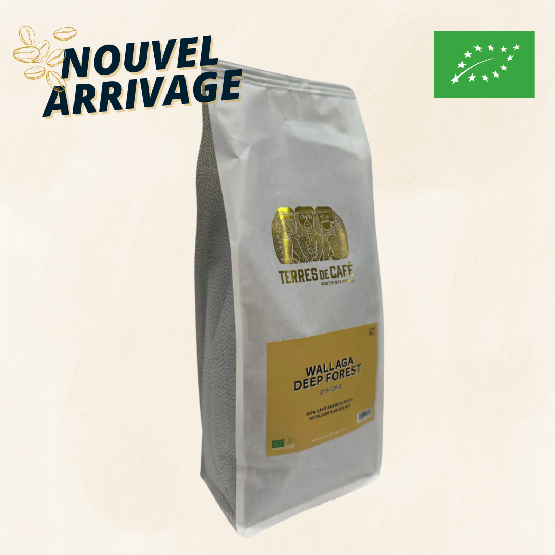 ETHIOPIE WALLAGA DEEP FOREST BIO- 1KG
