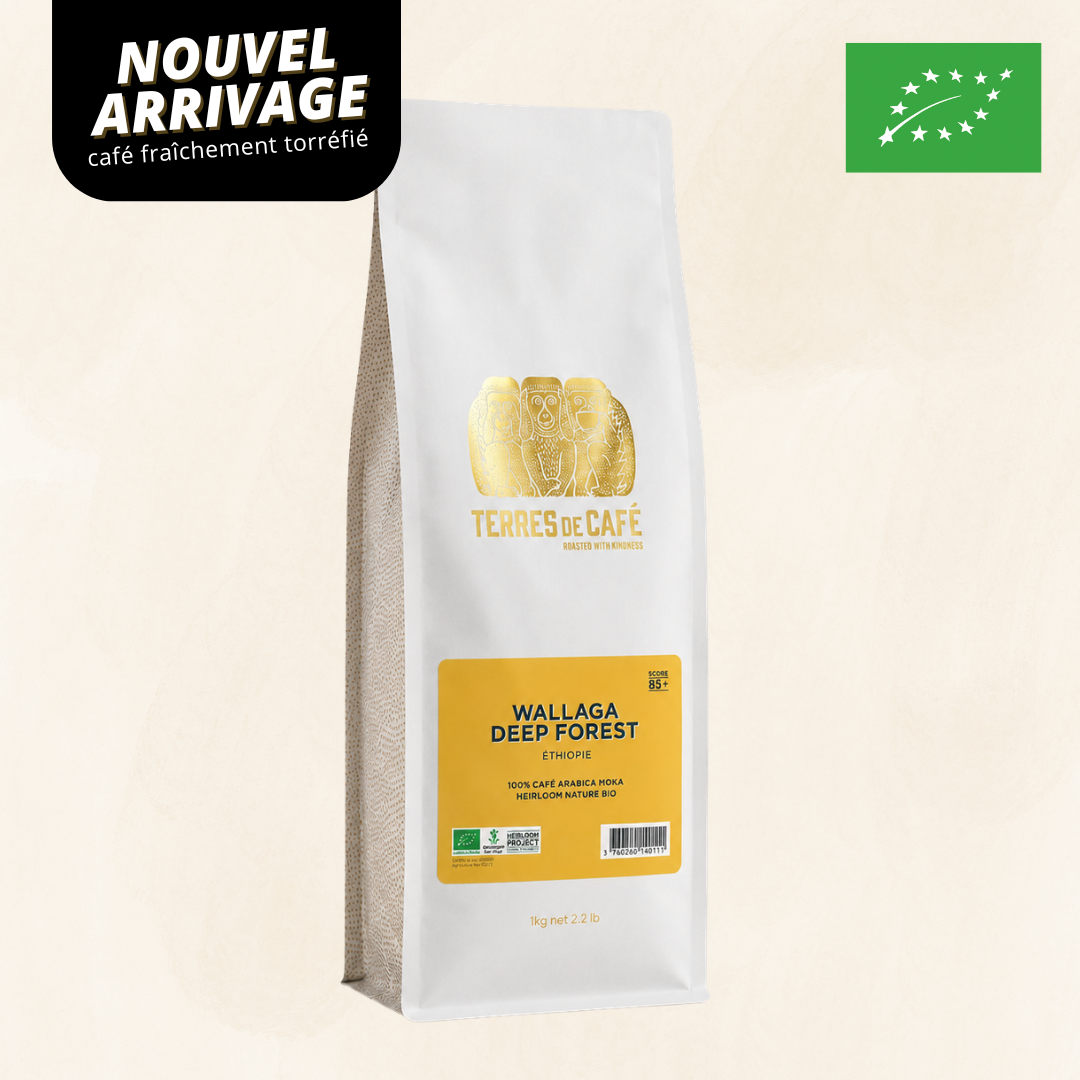 ETHIOPIE WALLAGA DEEP FOREST BIO- 1KG