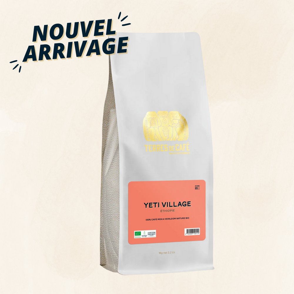 ETHIOPIE YETI VILLAGE MOKA BIO - KG