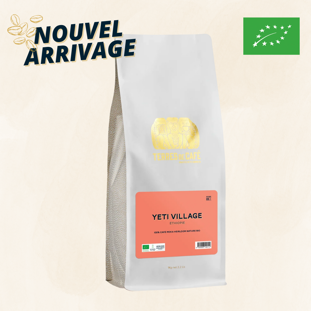 ETHIOPIE YETI VILLAGE MOKA BIO - KG