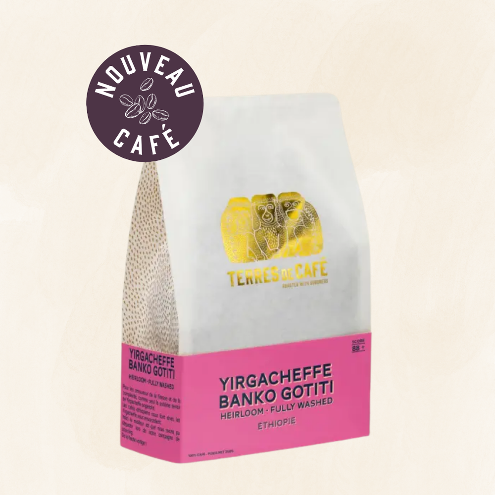 ÉTHIOPIE YIRGACHEFFE BANKO GOTITI - 250 GR
