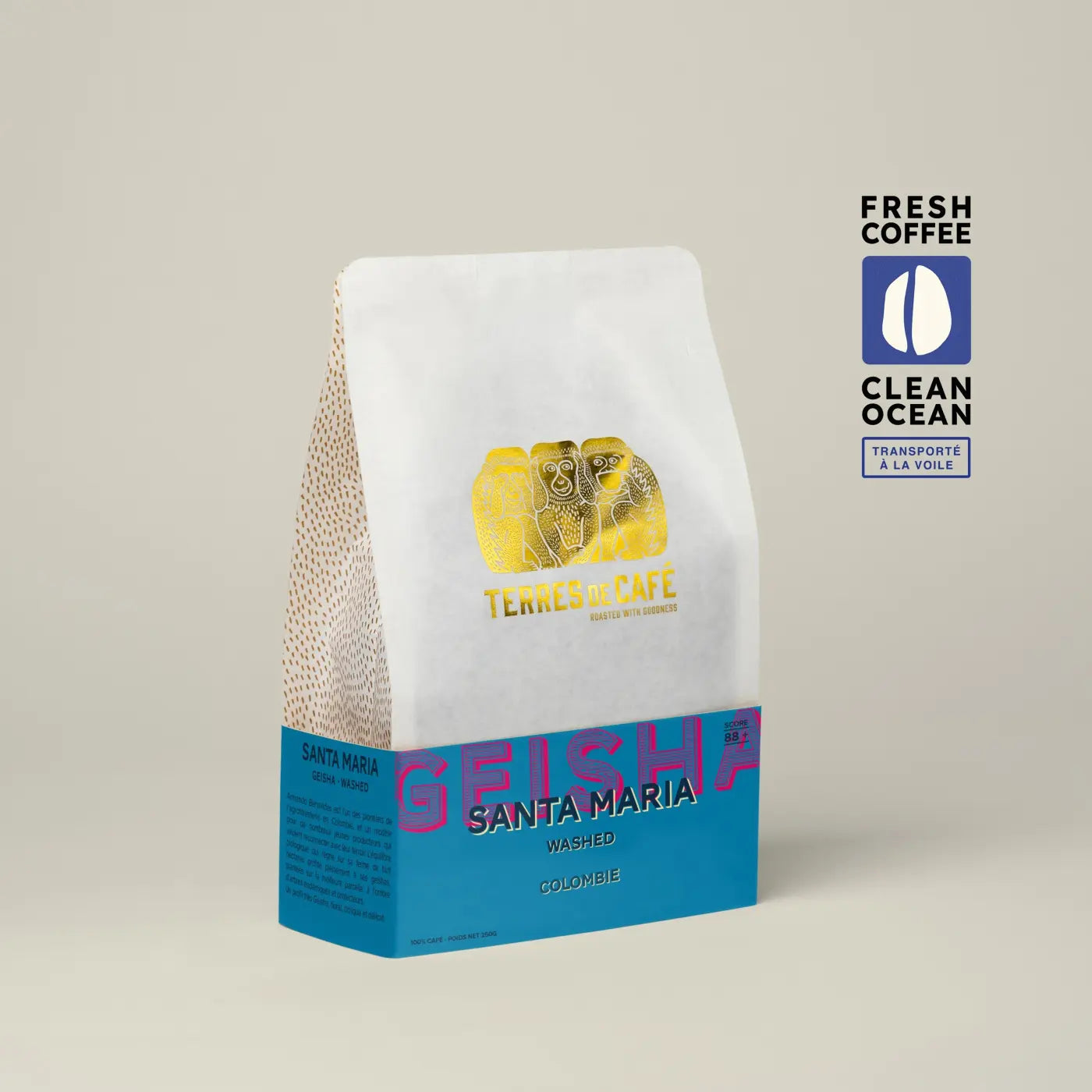 Colombie Santa Maria Geisha Washed - Terres de Café