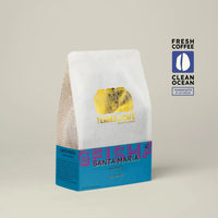 Colombie Santa Maria Geisha Washed - Terres de Café