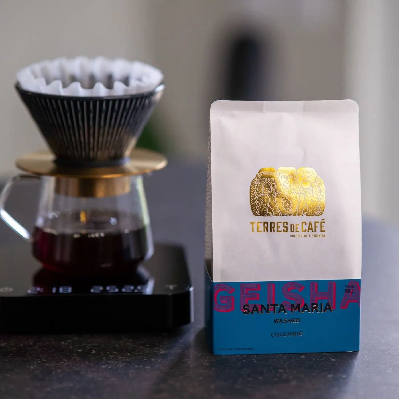 Colombie Santa Maria Geisha - vue latérale